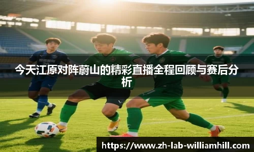 今天江原对阵蔚山的精彩直播全程回顾与赛后分析