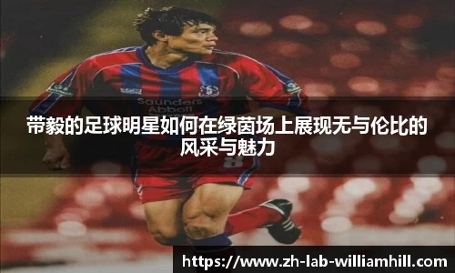 带毅的足球明星如何在绿茵场上展现无与伦比的风采与魅力